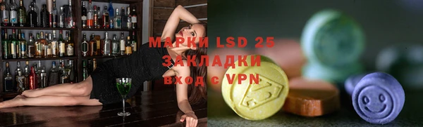 стаф Бородино