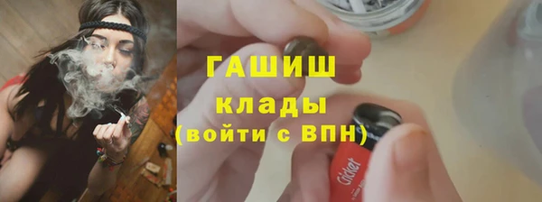 стаф Бородино