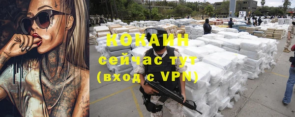 мескалин Богородицк