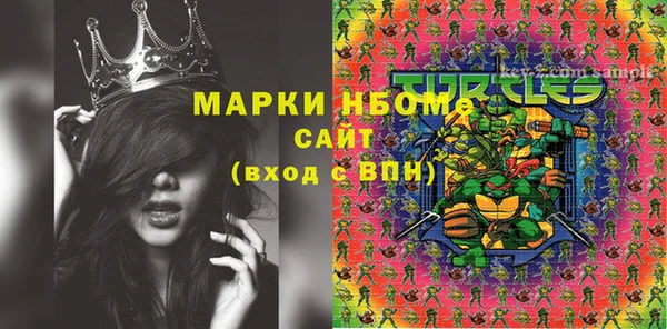молекула духа Богородск