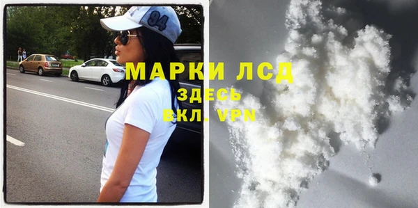 стаф Бородино